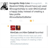 Anonymous Tweet or Facebook Message - The Incognito Help Line - 2